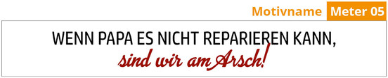 meterstab-sola-h-2-10-mit-lustigen-spruechen-a-nr-meter-h-2-10-lustig-06-ihreparty-ch.jpg
