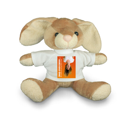 plueschtier-bunny-inkl-bedrucktem-shirt-a-nr-pe-bunny-01-ihreparty-ch.jpg