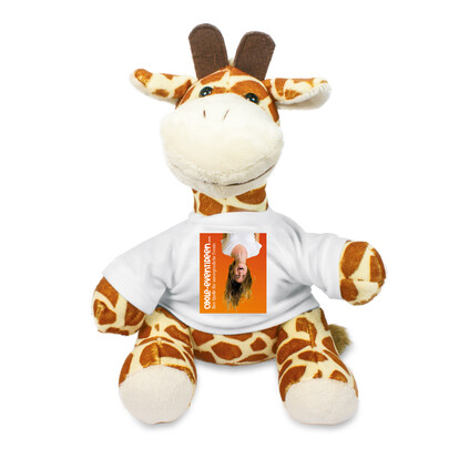 plueschtier-giraffe-inkl-bedrucktem-shirt-a-nr-pe-giraffe-01-ihreparty-ch.jpg