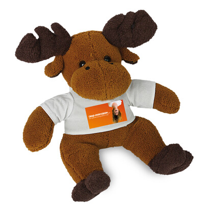 plueschtier-knut-inkl-bedrucktem-shirt-a-nr-pe-knut-01-ihreparty-ch.jpg