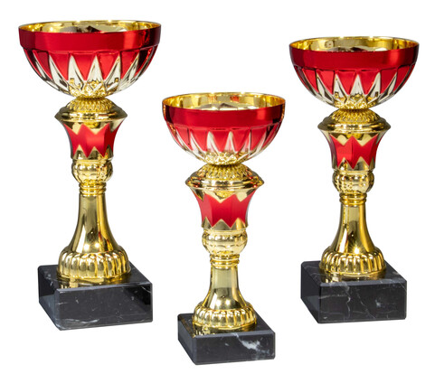pokal-franziska-210-mm-a-nr-40261-01-ihreparty-ch.jpg pokal-franziska-210-mm-a-nr-40261-01-ihreparty-ch.jpg