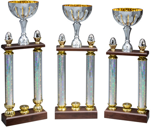 pokal-jolina-528-mm-a-nr-40402-01-ihreparty-ch.jpg