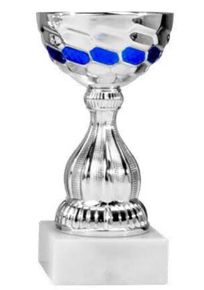 pokal-alegra-175-mm-a-nr-40981-01-ihreparty-ch.jpg