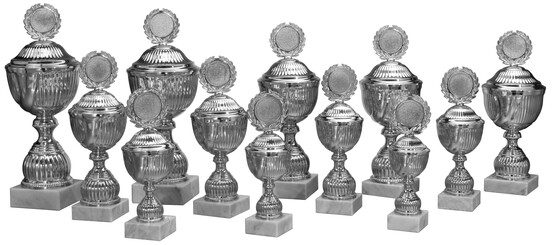 pokal-anina-264-mm-a-nr-59192-01-ihreparty-ch.jpg