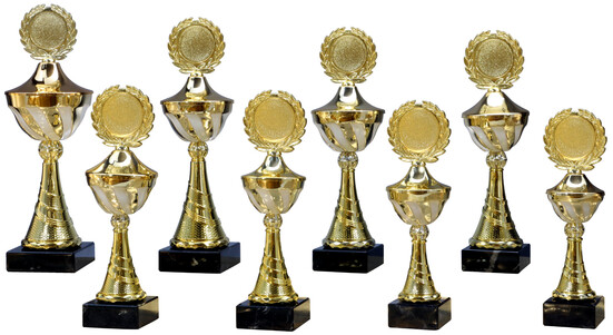 pokal-lexa-295-mm-a-nr-59766-01-ihreparty-ch.jpg