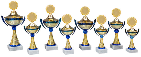pokal-tatjana-270-mm-a-nr-59777-01-ihreparty-ch.jpg