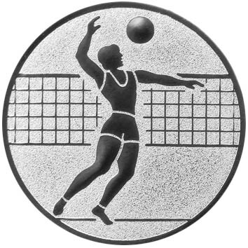 emblem-volleyball-1-50-mm-silber-a-nr-sti-61378-01-ihreparty-ch.jpg