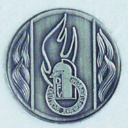 emblem-feuerwehr-1-a-nr-sti-7001-g336-01-ihreparty-ch.jpg