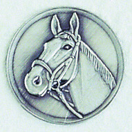 emblem-reiten-5-a-nr-sti-7001-g61-01-ihreparty-ch.jpg