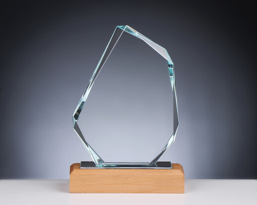 luxus-holz-award-10-buche-a-nr-sti-68190-01-ihreparty-ch.jpg