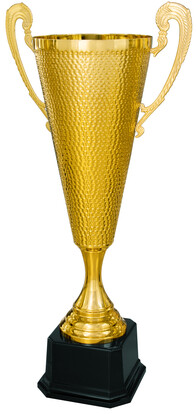 pokal-christian-noah-henkelpokal-700-mm-a-nr-40426-01-ihreparty-ch.jpg