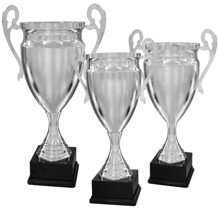 pokal-arno-hochwertiger-henkelpokal-680-mm-a-nr-41593-01-ihreparty-ch.jpg