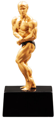 schraubfigur-bodybuilding-a-nr-sti-39783-01-ihreparty-ch.jpg