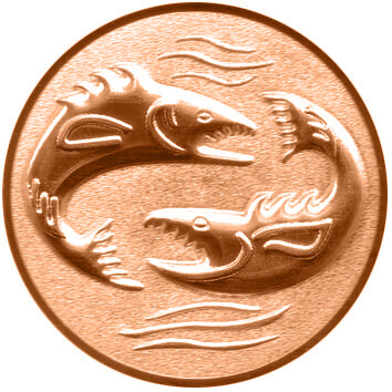 emblem-angeln-3-25-mm-bronze-a-nr-sti-64005-01-ihreparty-ch.jpg