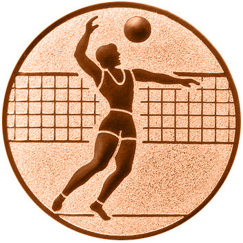 emblem-volleyball-1-50-mm-bronze-a-nr-sti-61380-01-ihreparty-ch.jpg