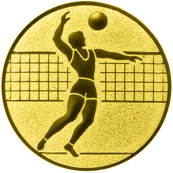 emblem-volleyball-1-50-mm-gold-a-nr-sti-61376-01-ihreparty-ch.jpg