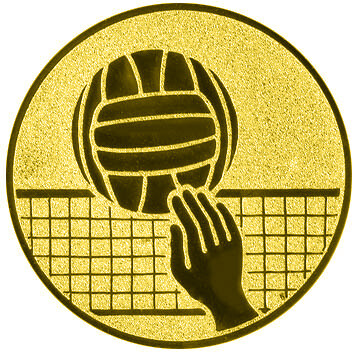 emblem-volleyball-4-50-mm-gold-a-nr-sti-61388-01-ihreparty-ch.jpg